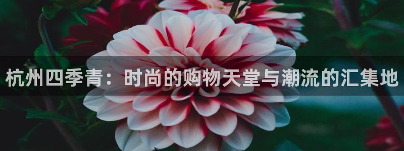 开丰娱乐左