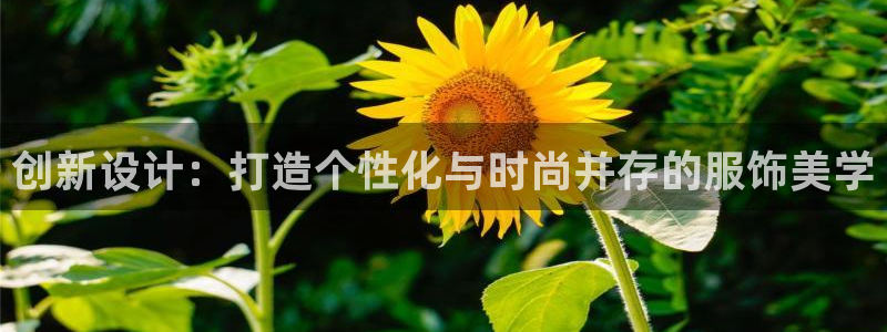 开丰娱乐万六七五一38