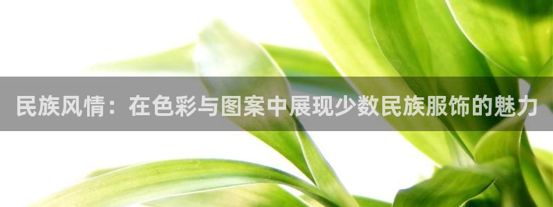 开丰娱乐趣 7O935