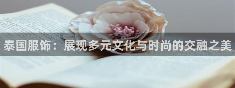 开丰娱乐前