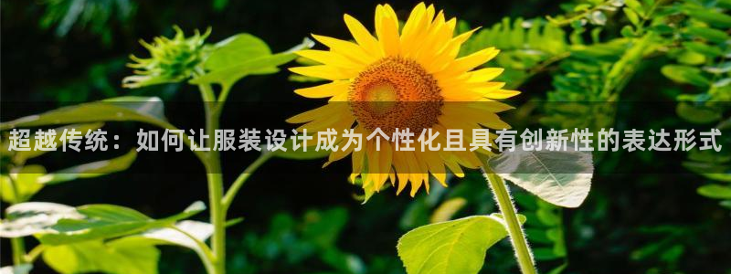 开丰娱乐日