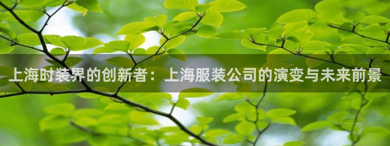 开丰娱乐app