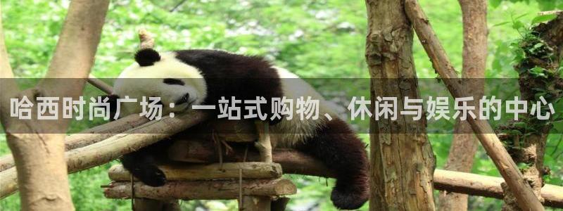 开丰娱乐网站官网下载