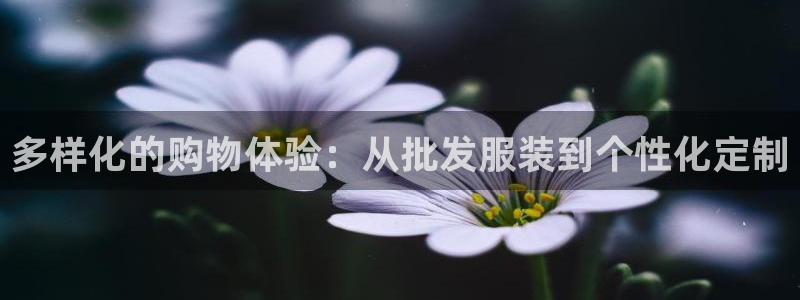 开丰娱乐登入地址