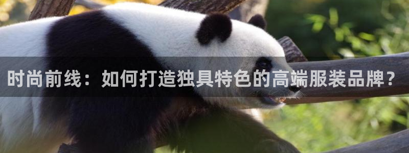 开丰娱乐登录注册