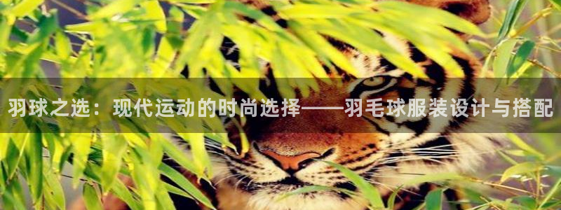 开丰娱乐手机app