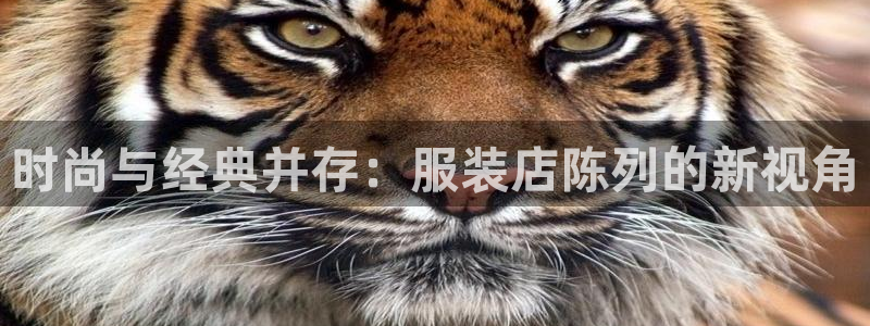 开丰娱乐官网平台下载