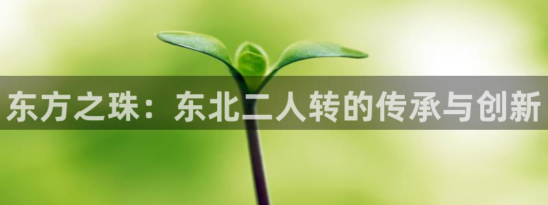 开丰娱乐登入地址在哪儿