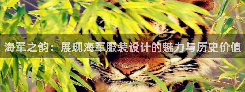 开丰娱乐登入地址