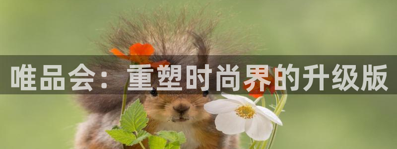 开丰娱乐天富娱乐