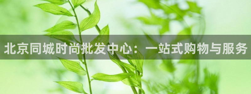 开丰娱乐登录网址