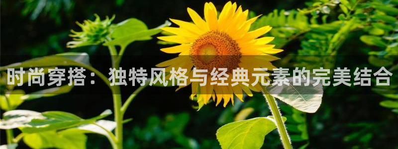 开丰娱乐网站官网下载