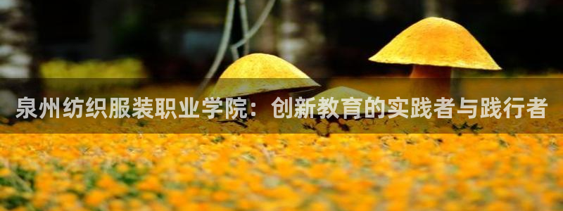 开丰娱乐地址