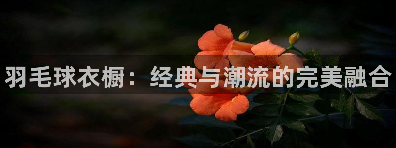 开丰娱乐与六七五一38