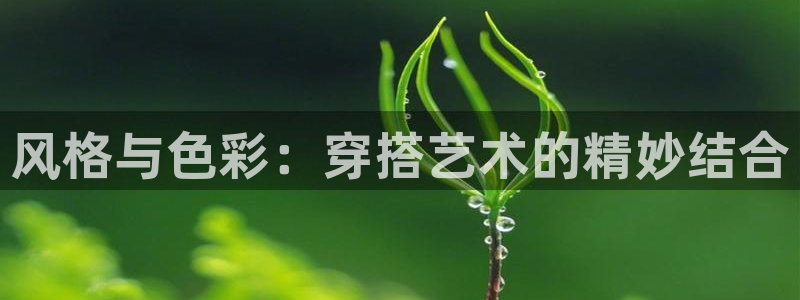 开丰娱乐上