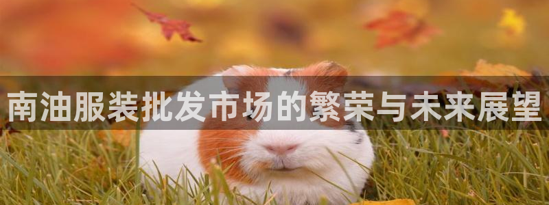 开丰娱乐咋7O777：南油服装批发市场的