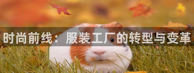 开丰娱乐官网平台