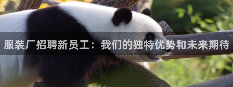 开丰娱乐官网
