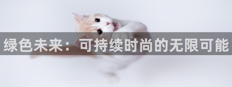 开丰娱乐网站官网入口