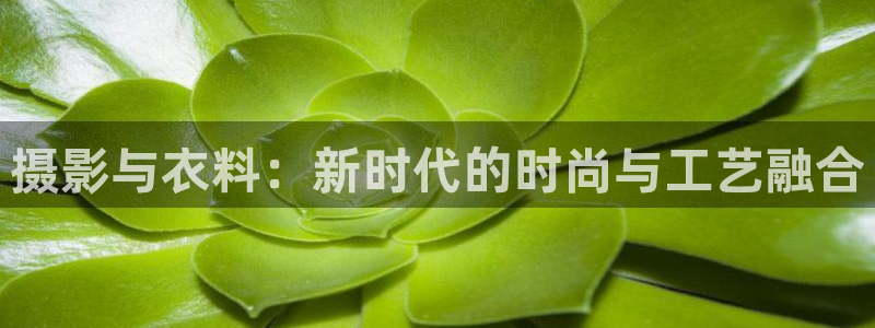 开丰娱乐测速