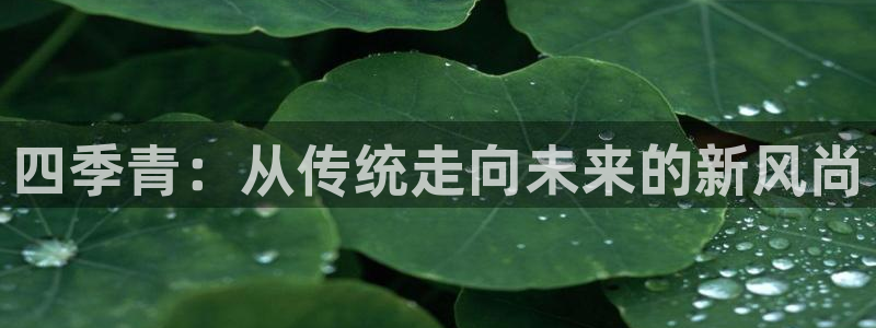 开丰娱乐登入地址在哪儿