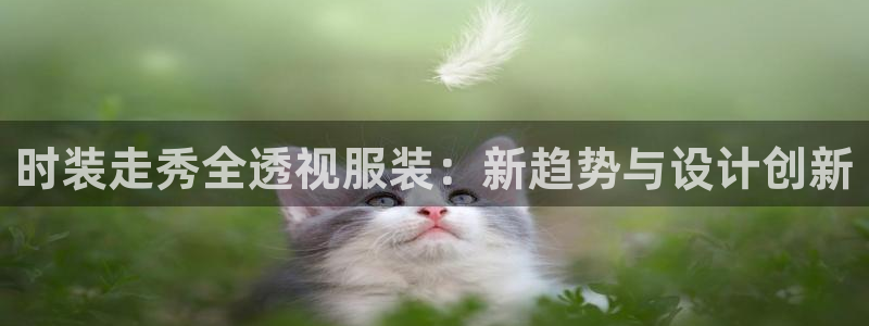 开丰娱乐登录网址