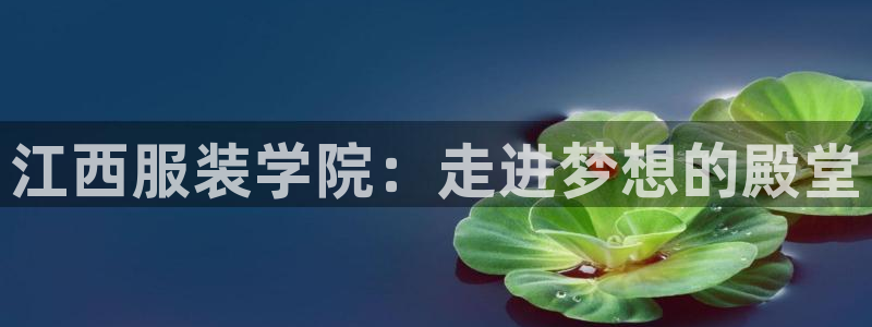 开丰娱乐 赢咖一