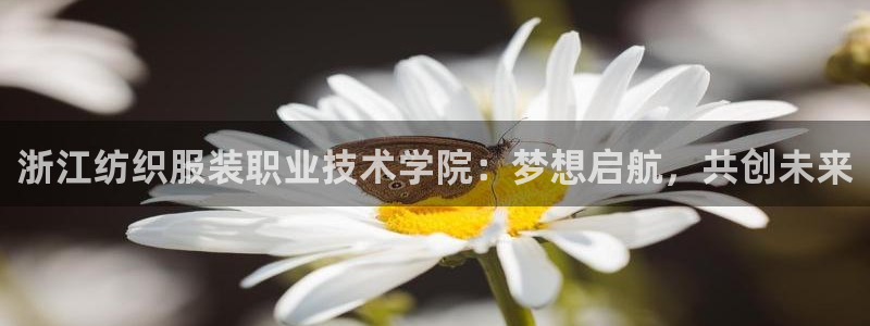 开丰娱乐