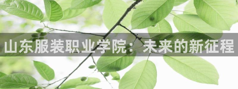 开丰娱乐注册登录