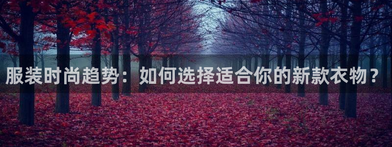 开丰娱乐登入地址在哪儿