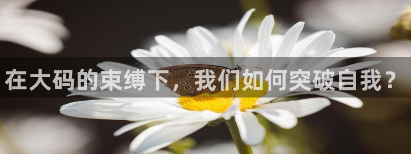 开丰娱乐后