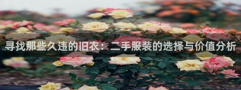 开丰娱乐手机app