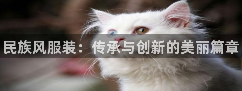 开丰娱乐体育平台