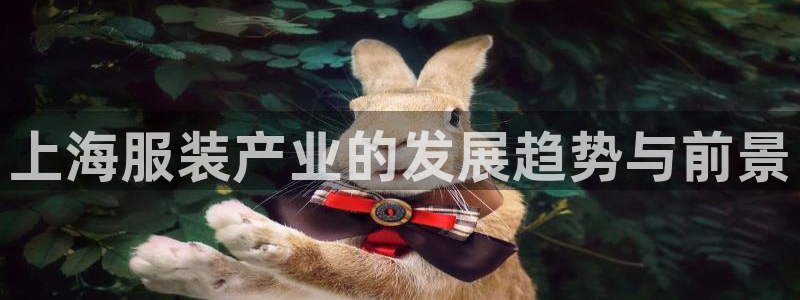 开丰娱乐登录地址入口