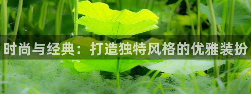 开丰娱乐注册自判官333OO