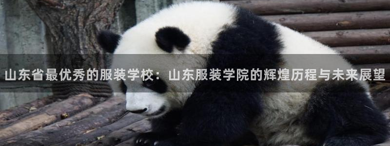 开丰娱乐注册登录不了